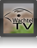 Wachtel-TV